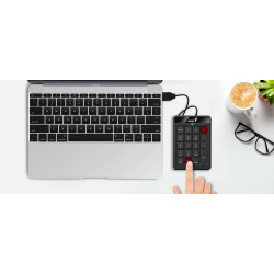Teclado Numérico Compacto Genius